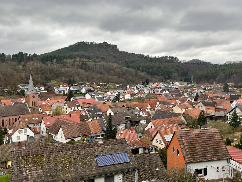 24-03-01 10-39-56 8854.jpeg